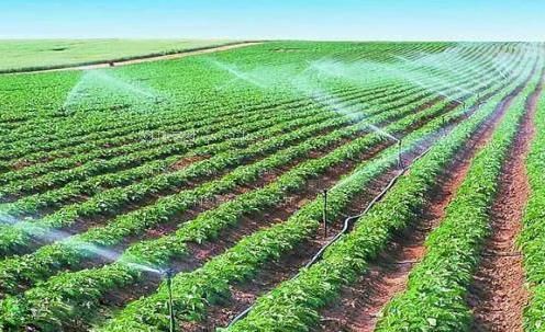 操美女逼视频国产的农田高 效节水灌溉